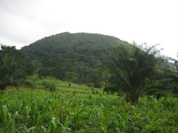Гора Афаджато