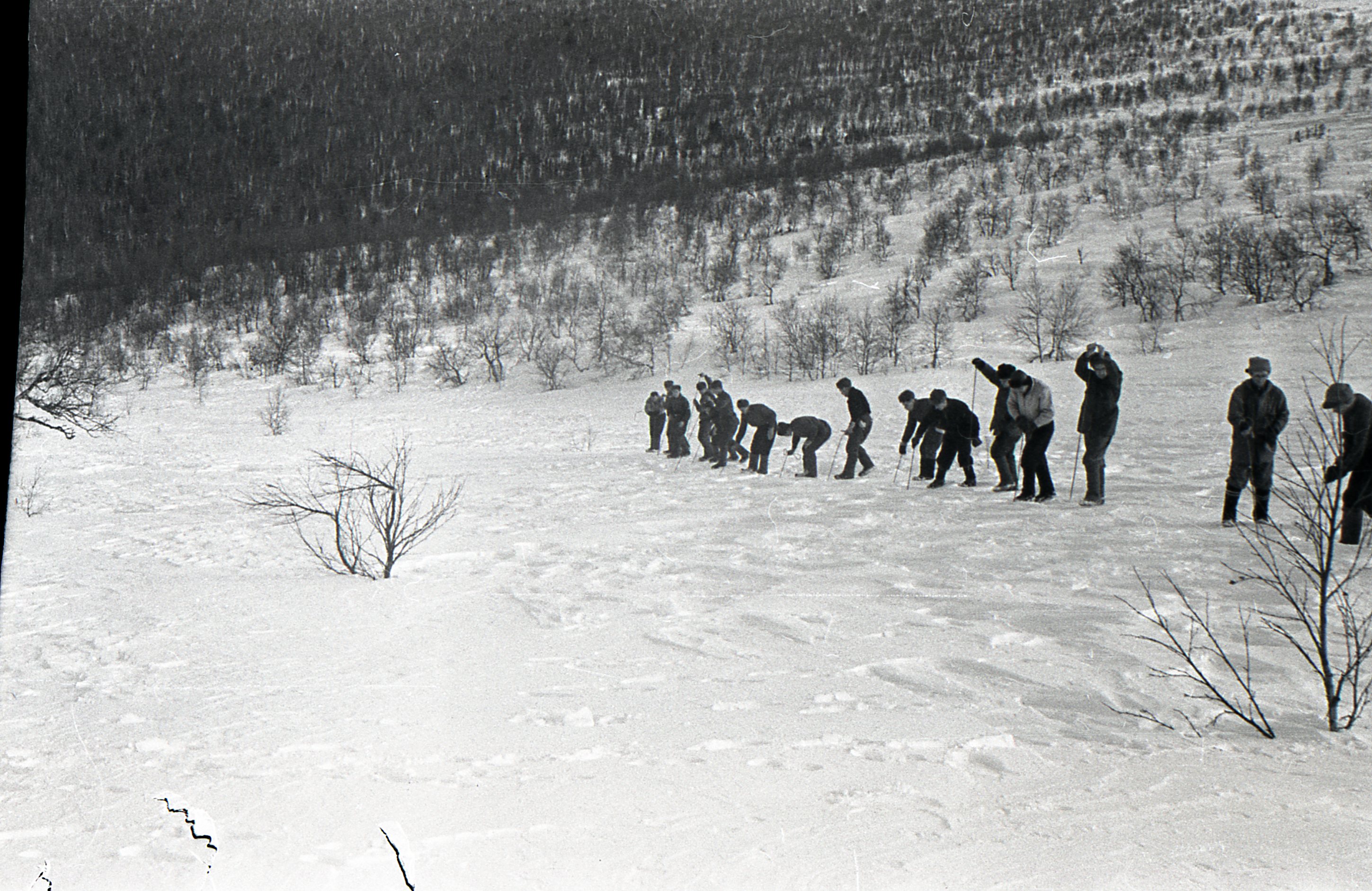 Нападение в горах. Гибель тургруппы Дятлова. Группа туристов Дятлова 1959.