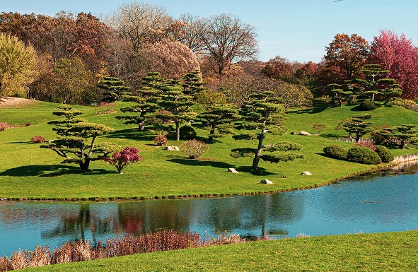 Чикагский ботанический сад, Гленко